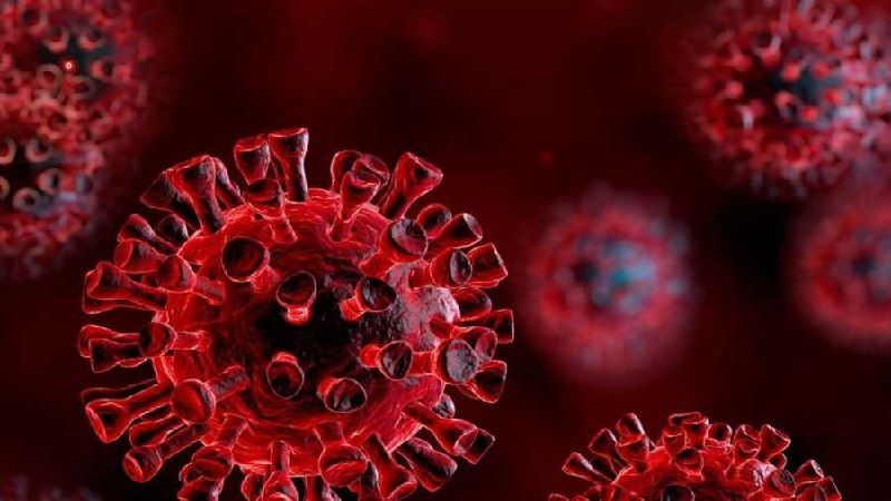 وزير الصحة التركي: لم نرصد في البلاد أيّ إصابة بالسلالة الجديدة المتحورة لفيروس كورونا