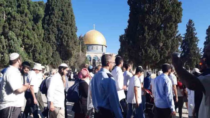 الاوقاف الاسلامية في القدس: 280 مستوطنًا اقتحموا المسجد الاقصى صباح اليوم