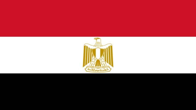 مصر: 19 قتيلا و24 مصابا إثر انقلاب حافلة بقناة مائية في المنصورة