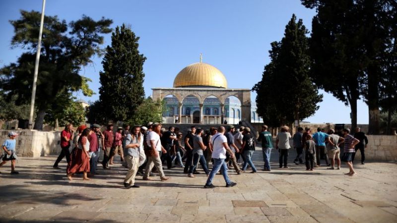 184 مستوطنًا اقتحموا المسجد الأقصى المبارك بحماية قوات الاحتلال 