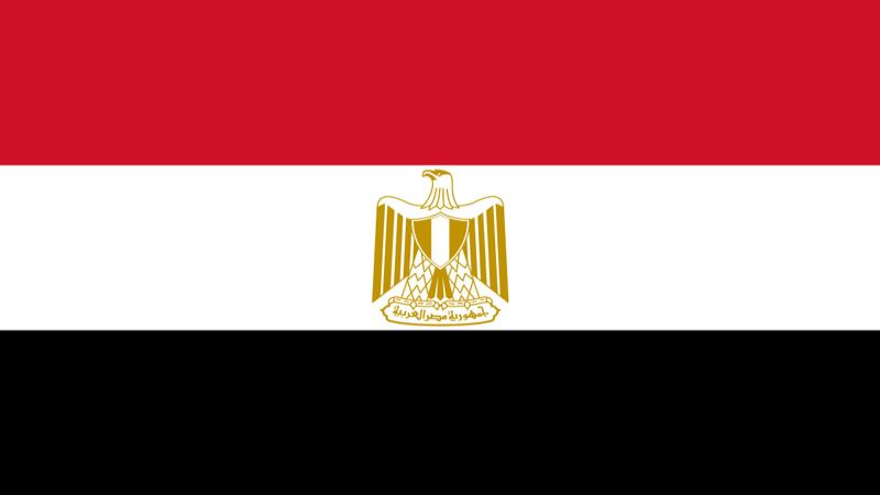  مجلس الأمن القومي المصري: لا حلّ للقضية الفلسطينية إلا حلّ الدولتين