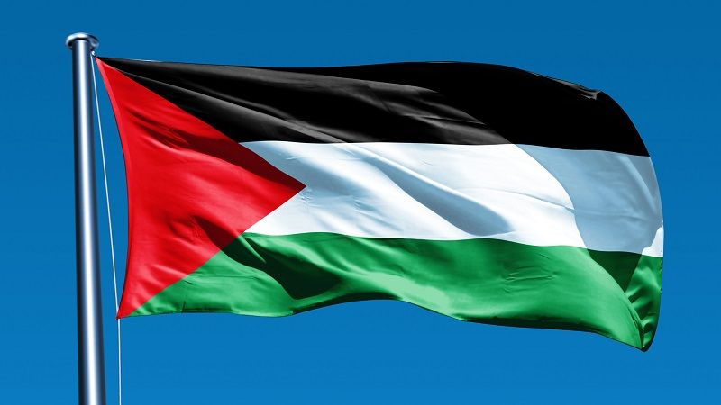 فلسطين المحتلة: انطلاق وقفات احتجاجية في تونس والجزائر نصرة لقطاع غزة