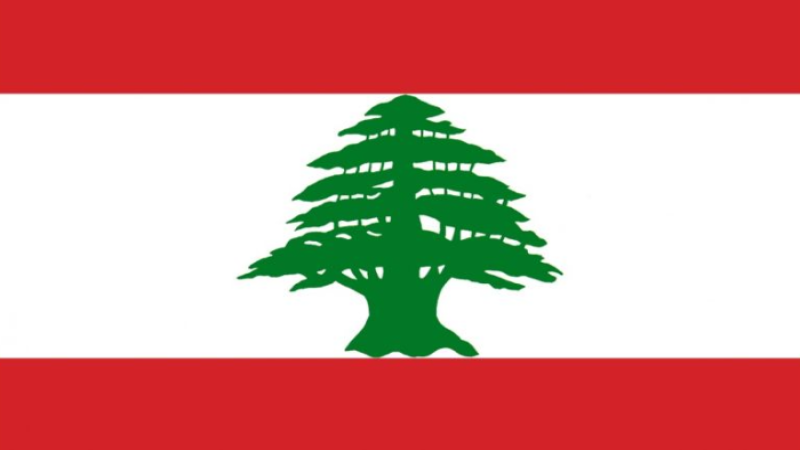 لبنان| الدفاع المدني: إنقاذ مواطنة من تحت الانقاض في مبنى المنصورية