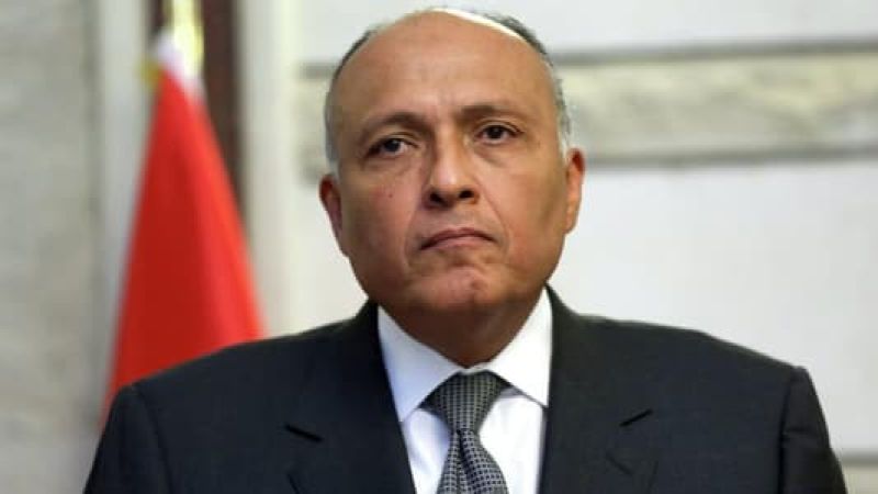 وزير خارجية مصر: تهجير الفلسطينيين سيؤثر على السلم في المنطقة بأسرها ونواصل جهودنا لإطالة أمد الهدنة في غزة