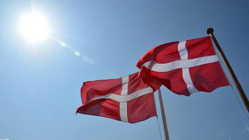 الدنمارك تعلن الوقف الفوري لتصدير السلاح إلى الإمارات