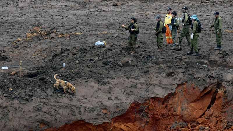 ارتفاع حصيلة ضحايا انهيار السد المنجمي في البرازيل إلى 110 قتلى