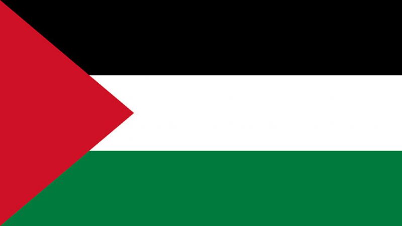 الفصائل الفلسطينية المشاركة في محادثات #موسكو تلتقي لافروف 13 الشهر المقبل