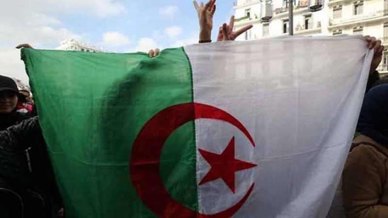 الجزائر بين سلمية الإحتجاجات وحكمة السلطة