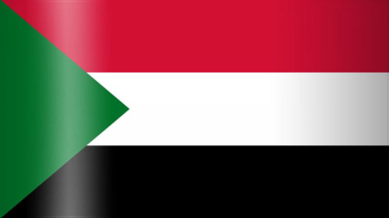 تجمع المهنيين السودانيين يعلن الأحد أسماء قادة المجلس الرئاسي المدني