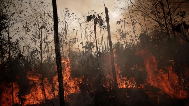 حرائق الأمازون مستمرّة والخلاف الفرنسي البرازيلي يُعرقل خطة إخمادها