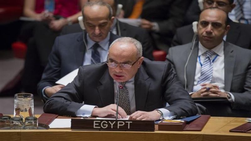 مصر تدعو إلى محاسبة الداعمين للإرهاب في سوريا
