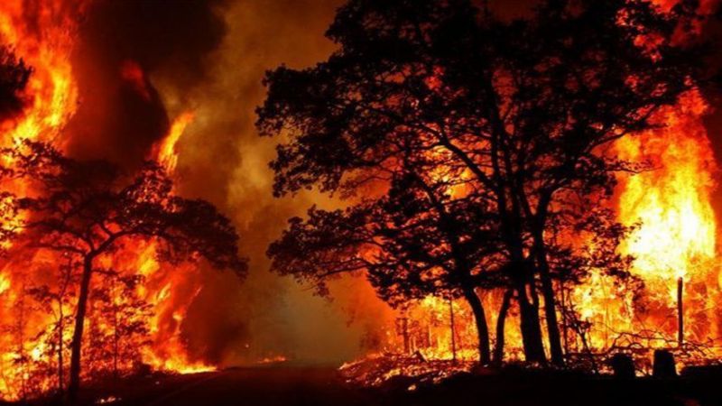 حرائق الغابات شرق أستراليا تجبر السكان على الفرار من منازلهم