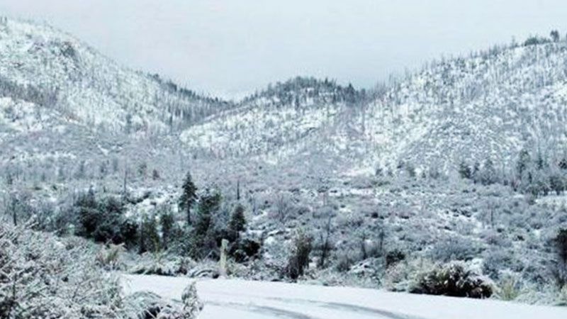لبنان: أمطار غزيرة وثلوج على ارتفاع ١٠٠٠متر