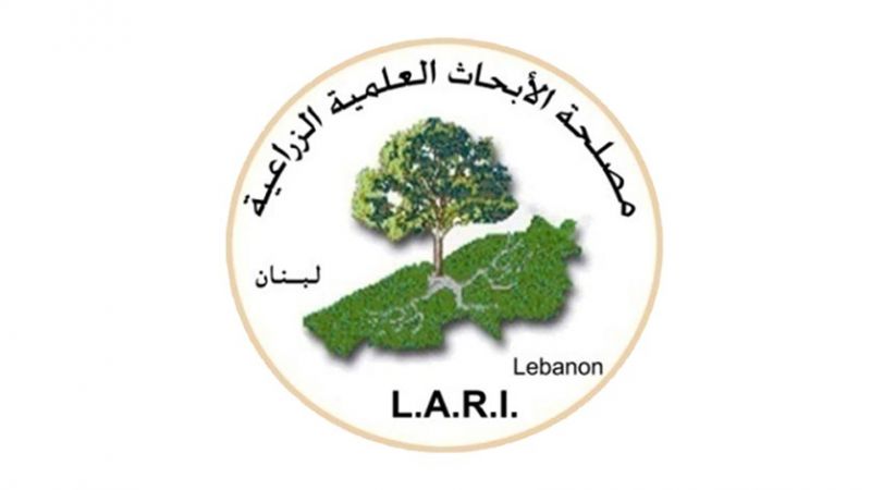 مصلحة الأبحاث الزراعية: لا جراد حاليًا في لبنان وجواره