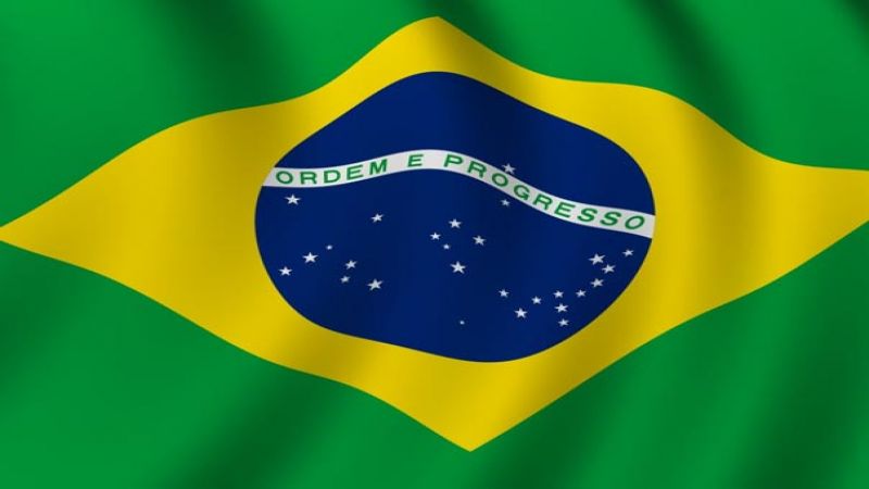 البرازيل: 67 حالة وفاة جديدة بفيروس كورونا 