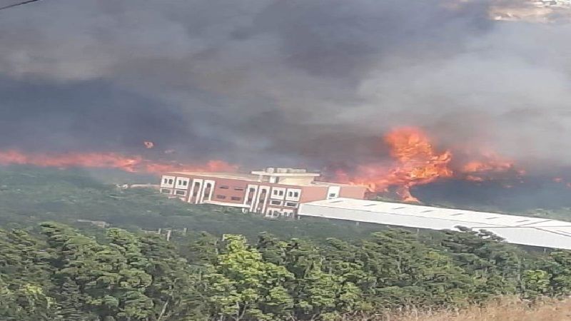بالصور والفيديو: حرائق على امتداد الجنوب 