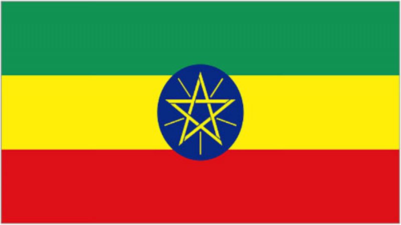 الجيش الإثيوبي يعلن السيطرة بشكل كامل على عاصمة إقليم تيغراي