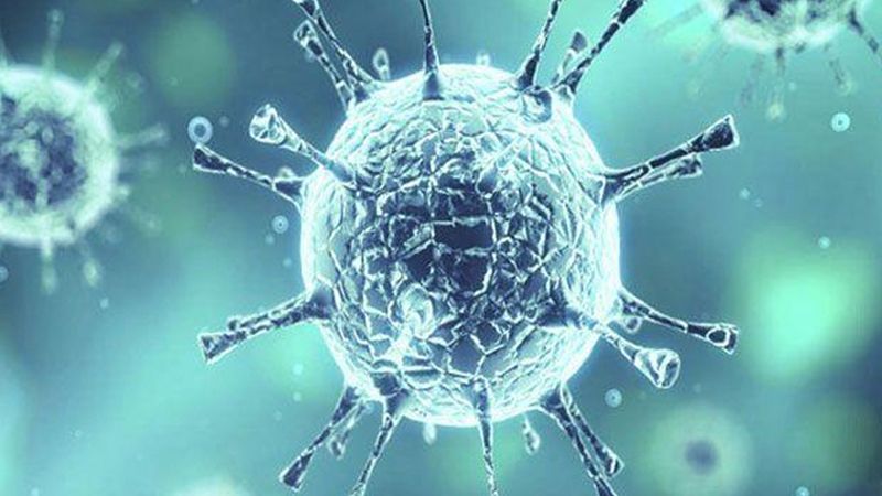 تسجيل 10 إصابات بفيروس كورونا في بقرصونا الضنية 