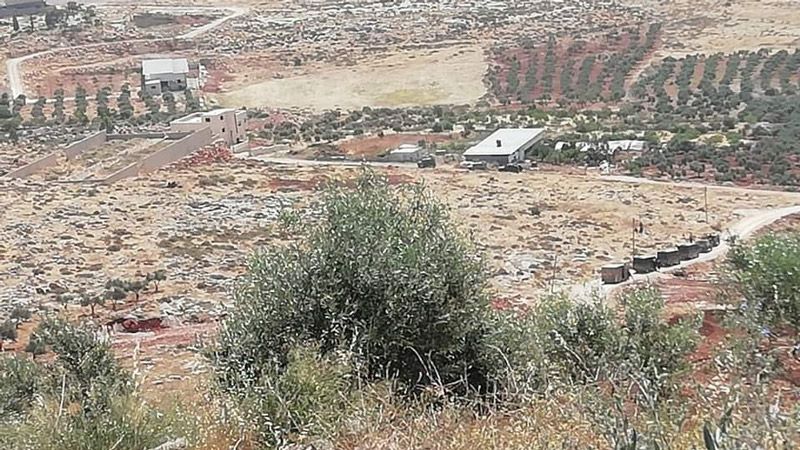فلسطين المحتلة: سماع دوي إطلاق نار كثيف في محيط المنطقة الزراعية في عقربا