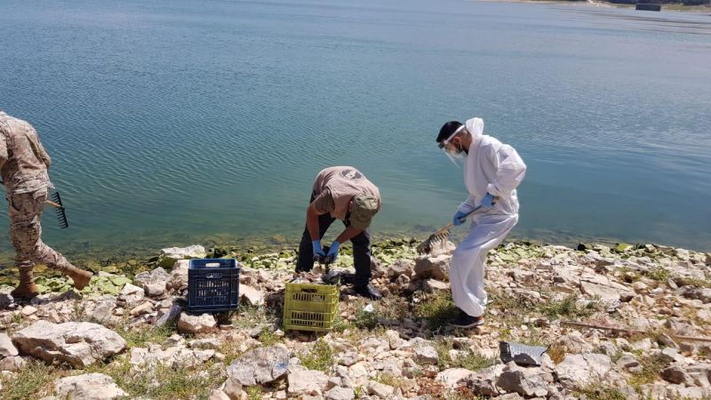 لبنان: فرقٌ جمعت عينات من بحيرة القرعون  