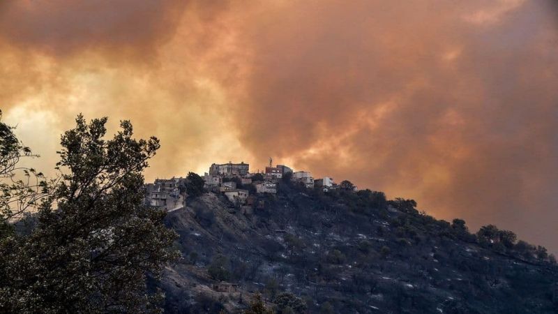 فرق الحماية المدنية الجزائرية تواصل إخماد حرائق الغابات التي اجتاحت شمال البلاد وتسببت بوفاة 65 شخصًا