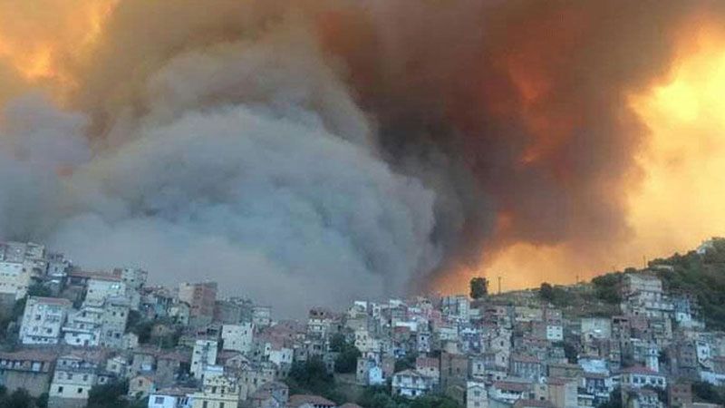 مصرع أكثر من 40 شخصًا في حرائق تجتاح شمال الجزائر