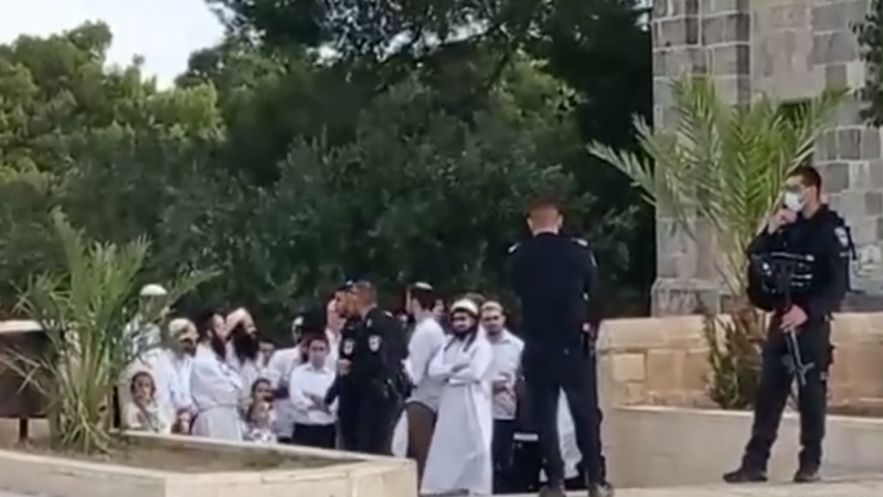بالفيديو.. مستوطنون يقتحمون باحات المسجد الأقصى بحماية قوات الاحتلال