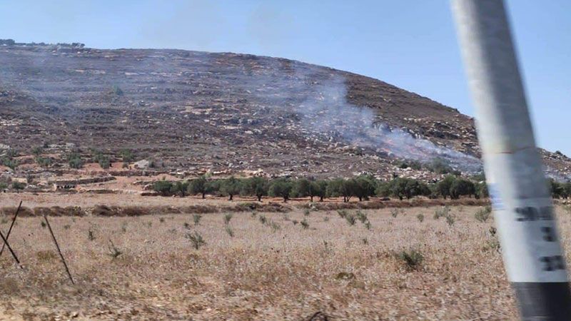 مستوطنون يشعلون النيران في أشجار الزيتون في قرية جوريش جنوب شرق نابلس