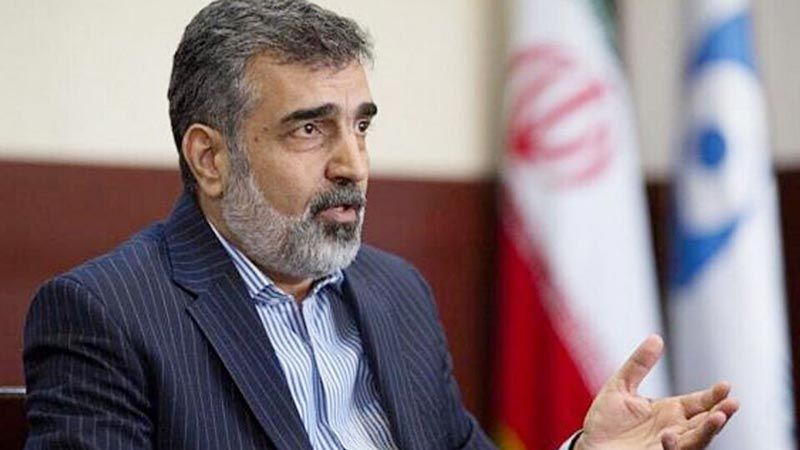 إيران ستُعيد النظر في تعاملها مع الوكالة الذرية ما لم تتوقف عن تسريب المعلومات