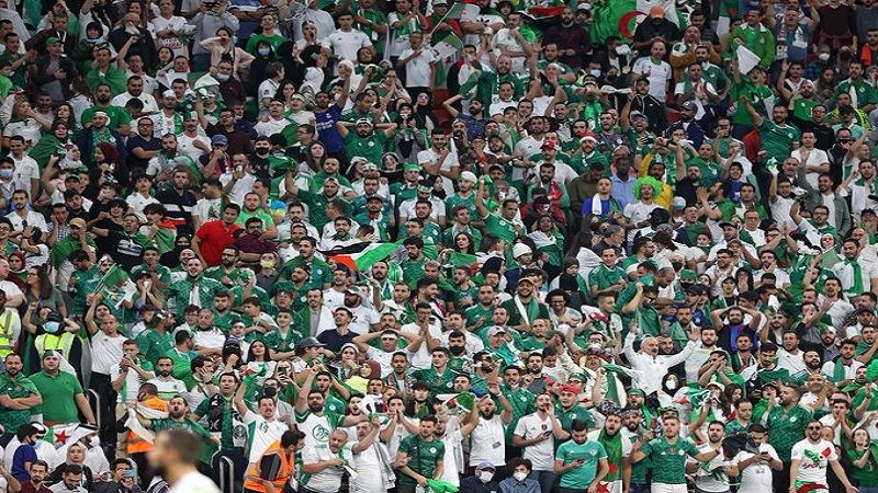 مدرب المنتخب الجزائري: نهدي كأس العرب إلى الشعب الفلسطيني وأهلنا في غزة