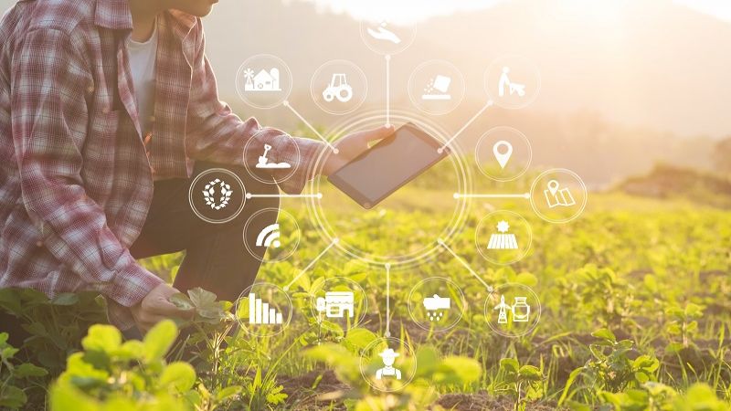 أهمية الزراعة الرقمية في تطوير الانتاج الزراعي اللبناني