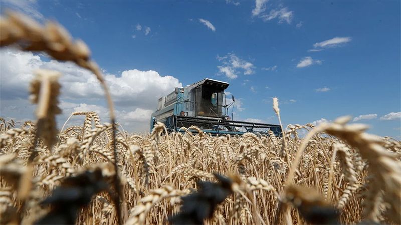 وزيرا الاقتصاد والزراعة بشأن القمح: خطّة للنهوض بالقطاع محليًا والإستيراد سارٍ