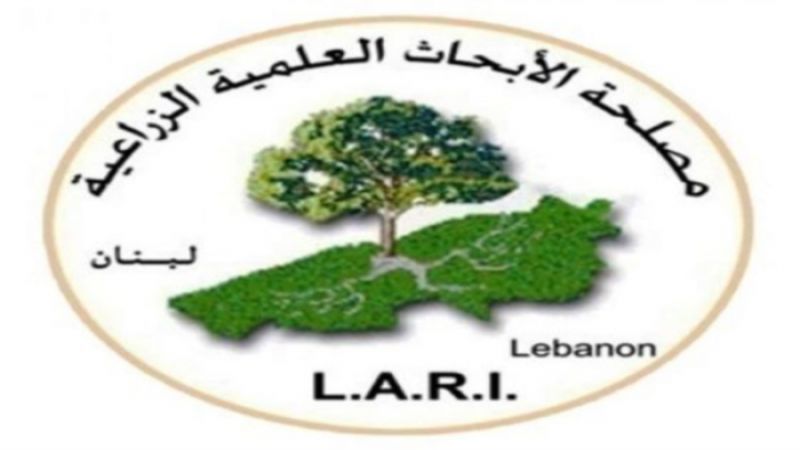 لبنان| مصلحة الأبحاث الزراعية: فحوصات القمح تتم حسب الأصول