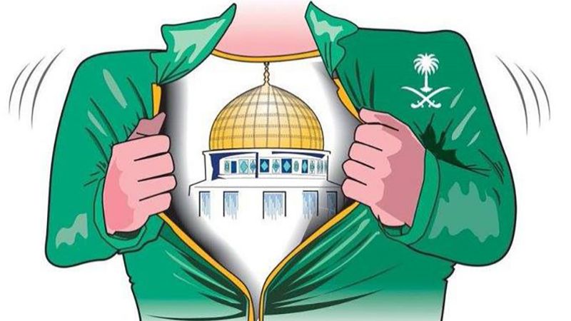 مسؤول أمريكي: الشعب السعودي لا يؤيد التطبيع مع "إسرائيل"