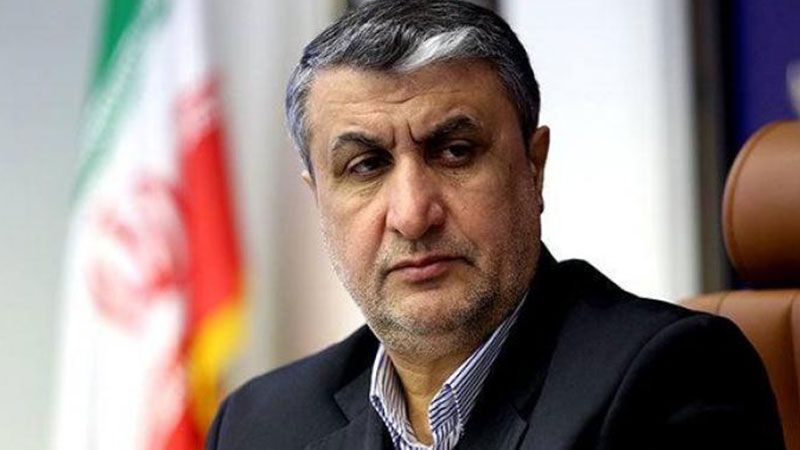 رئيس الطاقة الذرية الإيرانية: الوكالة الذرية رهينة الصهاينة