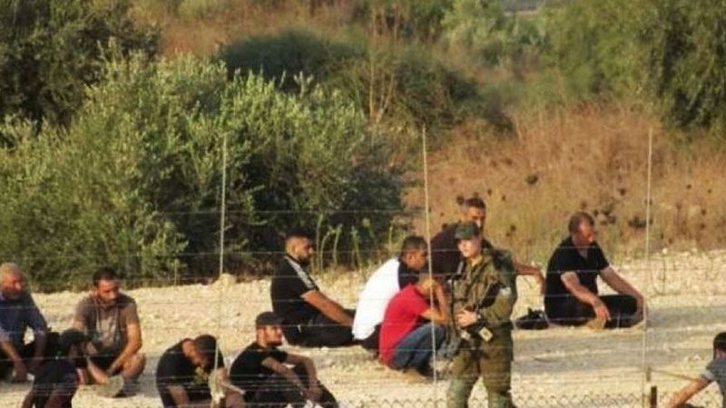 الاحتلال يعتقل أكثر من 50 عاملًا فلسطينيًّا