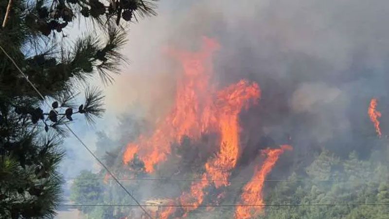وزارة البيئة تحذّر من ارتفاع خطر اندلاع حرائق الغابات