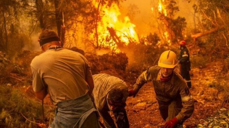 حرائق الغابات في الجزائر: أكثر من 30 قتيلًا و160 جريحًا&nbsp;