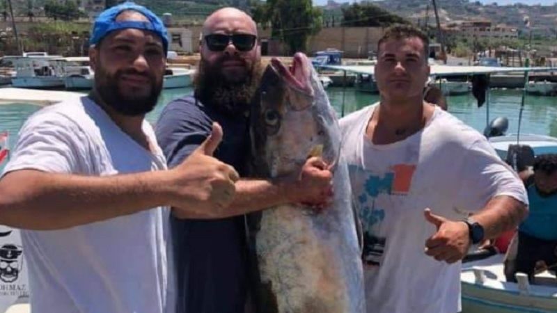 لبنان| بالصورة.. سمكة "انتياس جرو" وزنها 38 كيلوغرامًا في شباك الصيادين قبالة الصرفند