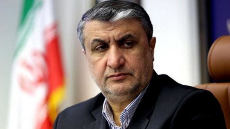 إسلامي: إيران تمتلك اليد الطولى في المفاوضات