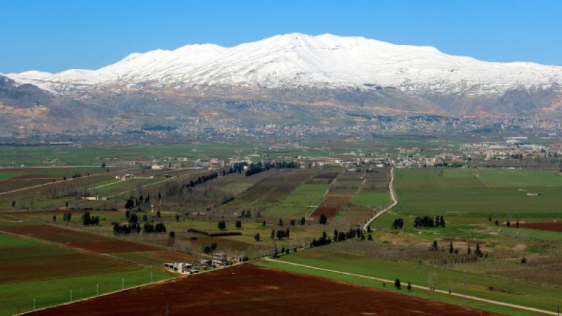 الأراضي المزروعة في لبنان تغطّي أقلّ من 25 في المائة من مساحته 
