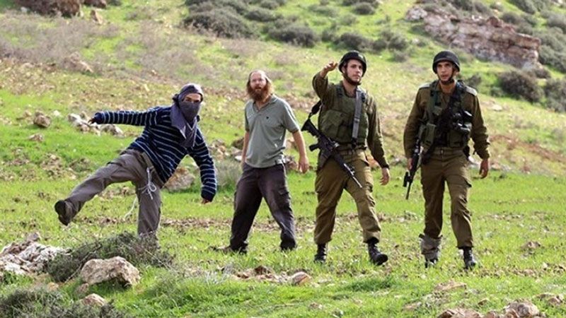 أكثر من 100 اعتداء للمستوطنين على الفلسطينيين في 10 أيام
