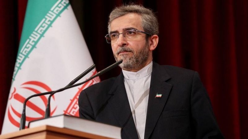 &nbsp;باقري كني: إيران تصرّ على مواقفها المنطقية في مفاوضات إلغاء الحظر
