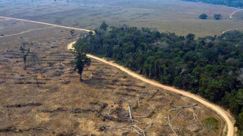 &nbsp;ثلث غابة الأمازون مُدمّر