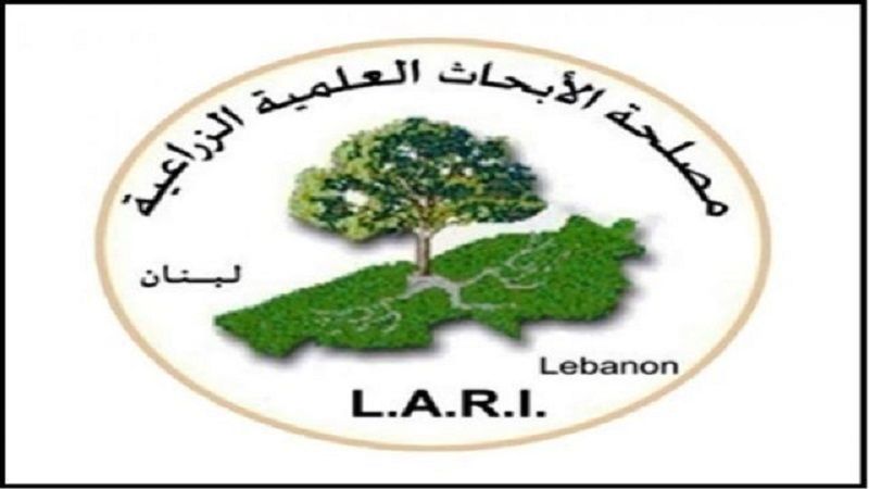 لبنان: توجيهات إلى المزارعين من مصلحة الأرصاد في تل عمارة لمواجهة المنخفض الجوي