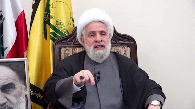 الشيخ قاسم: حزب الله أرسل وفودًا طبية إلى سوريا