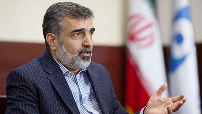 منظمة الطاقة الذرية الإيرانية: لم ننتهك التزاماتنا على الإطلاق