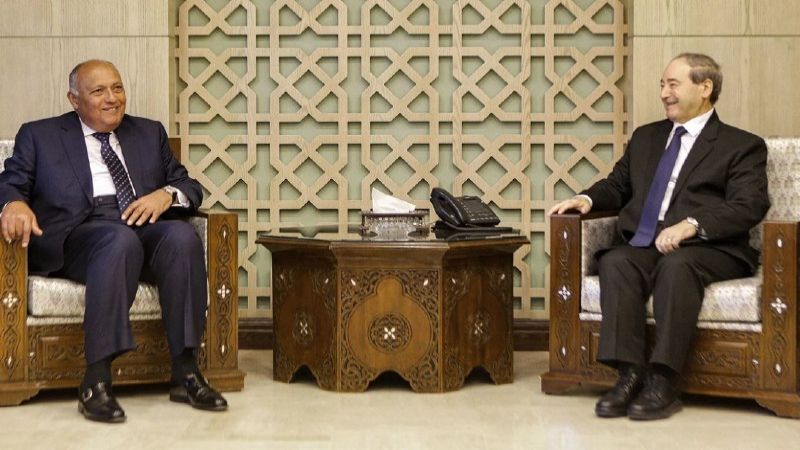 وصول وزير الخارجية السوري إلى القاهرة
