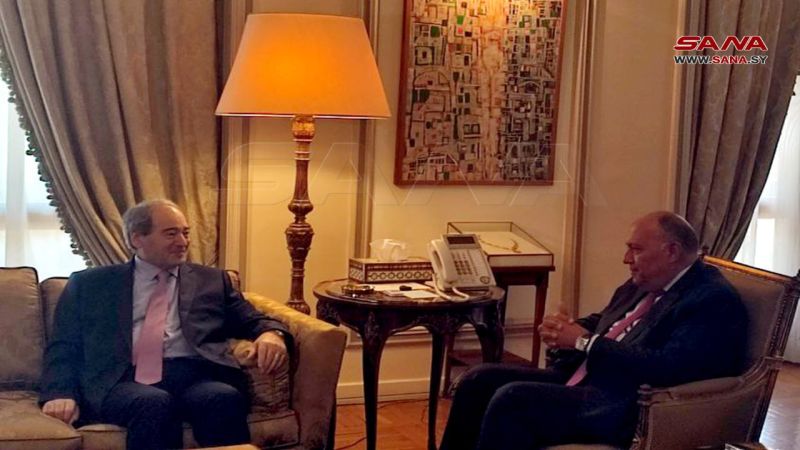 الخارجية المصرية: الوزيران المصري والسوري اتفقا على تكثيف قنوات التواصل والتضامن بين البلدين