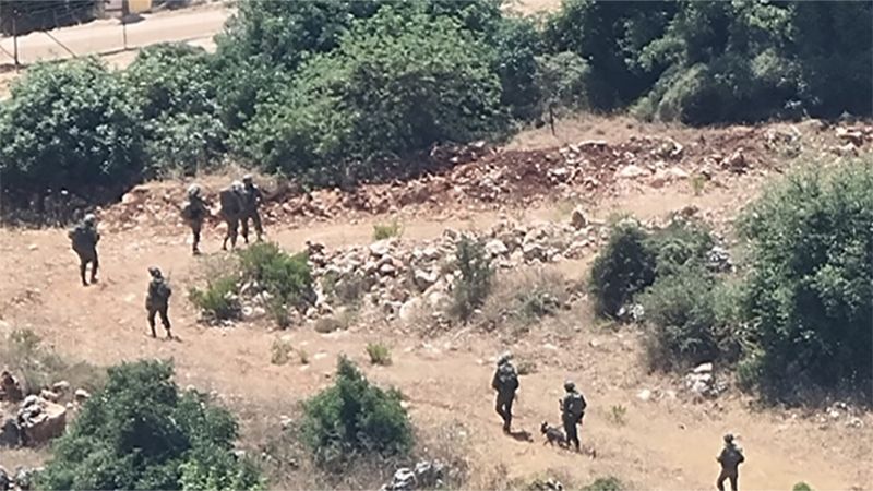 25 جنديًا صهيونيًا ينصبون كمينًا ليليًا في منطقة "خلة المراح" عند حدود بلدة ميس الجبل